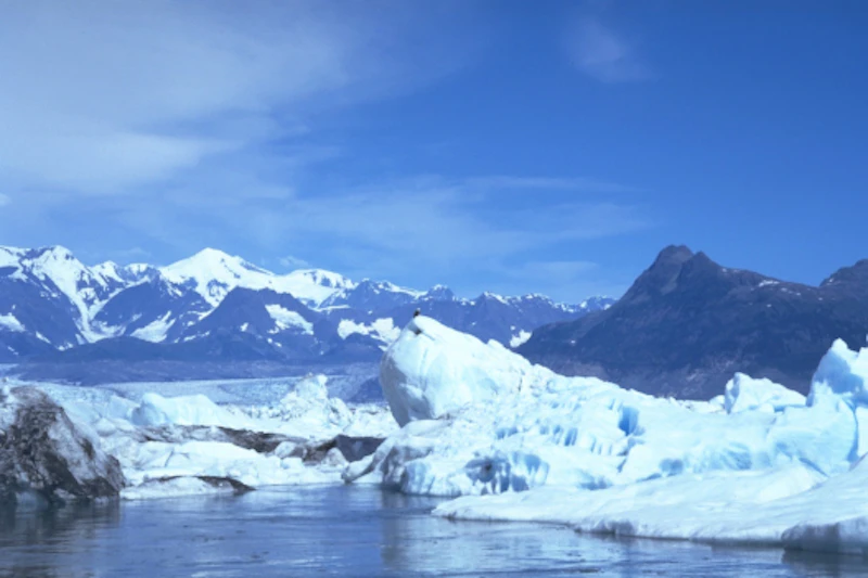 Valdez 01