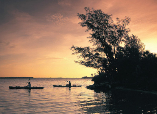 Clearwater Nature kayak 0376 15553