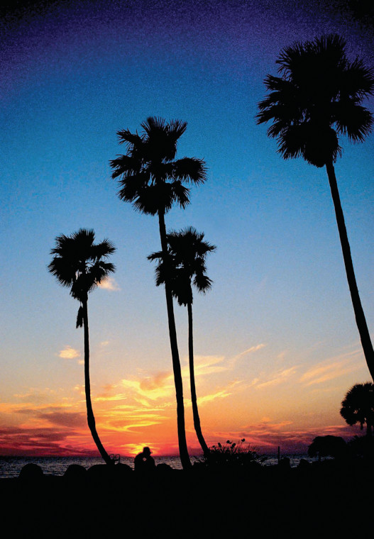 Clearwater nature sunset 0376 15560