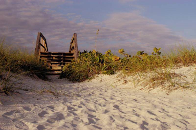 Fort Myers BG BOARDWALK 302