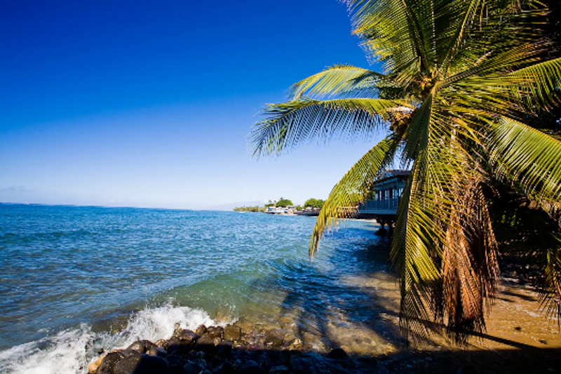 Maui 02