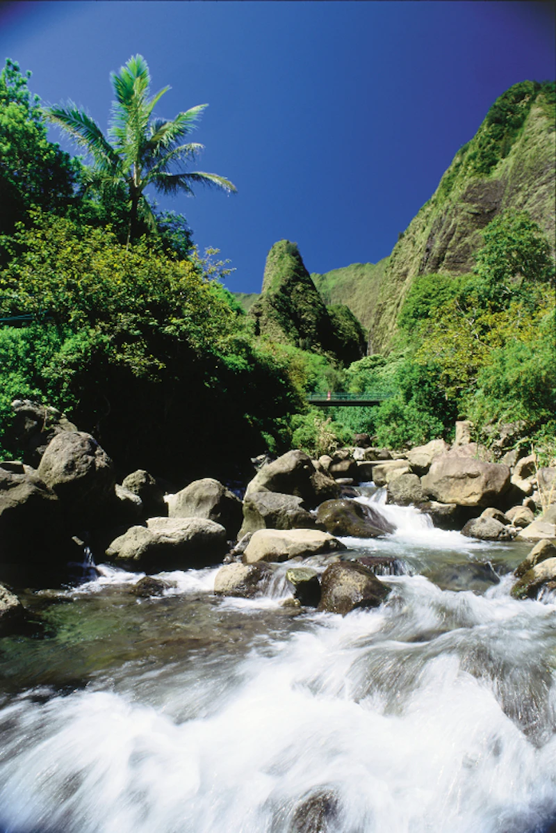 Maui 03