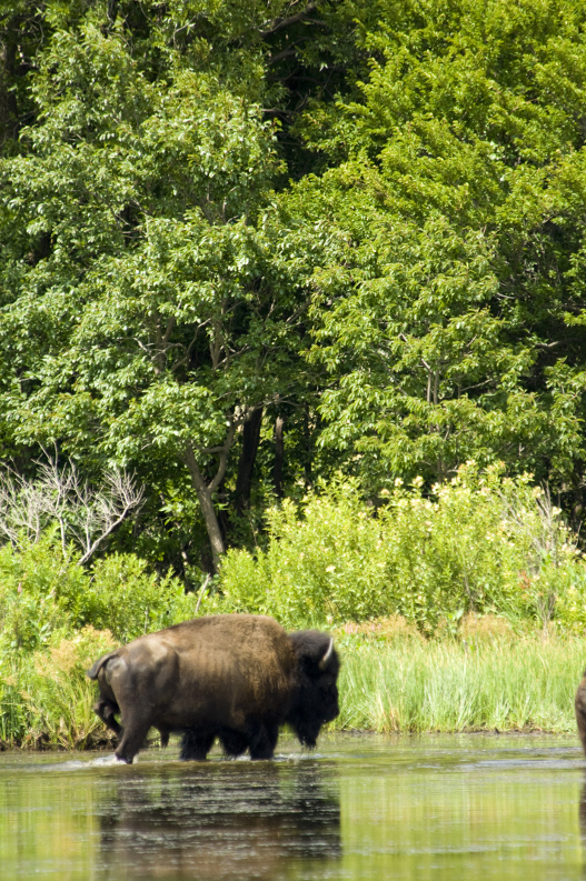 Wichita Mountains Wildlife Reserve Medicine Park OK