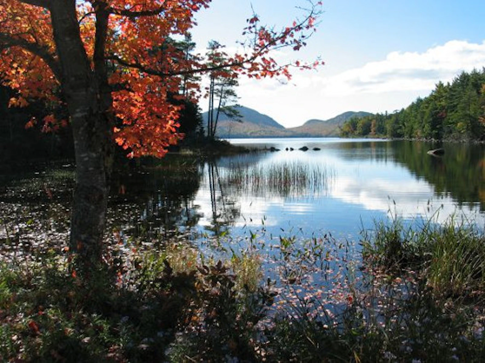 Acadia NP 03