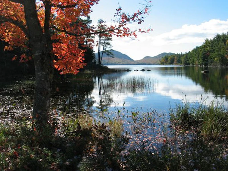 Acadia NP 03