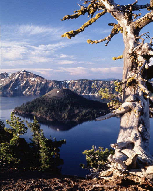 Crater Lake Baum