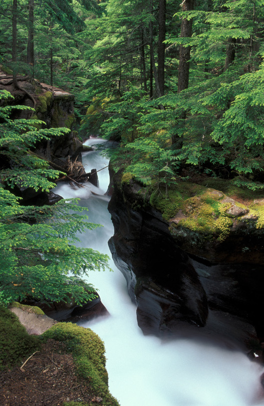 Glacier Naional Park01