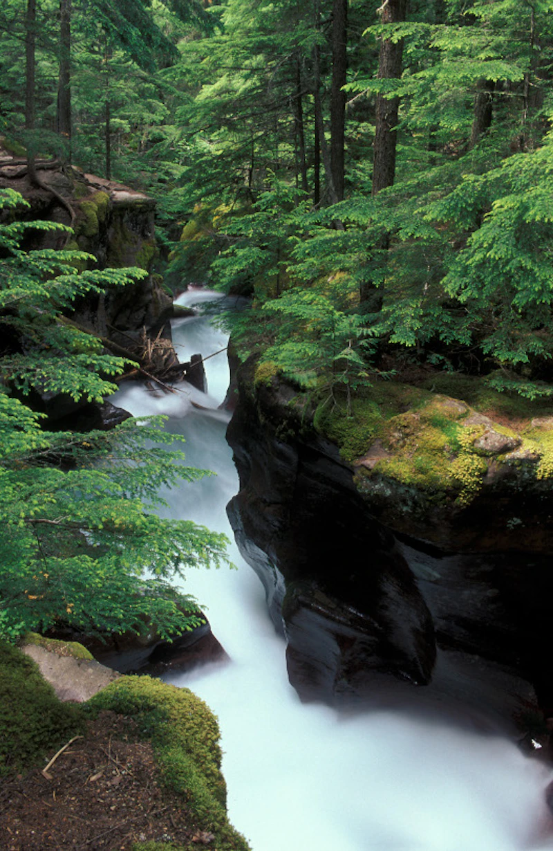 Glacier Naional Park01