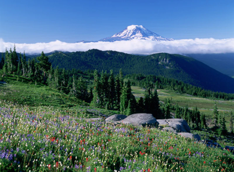 MtRainier JohnMarshall