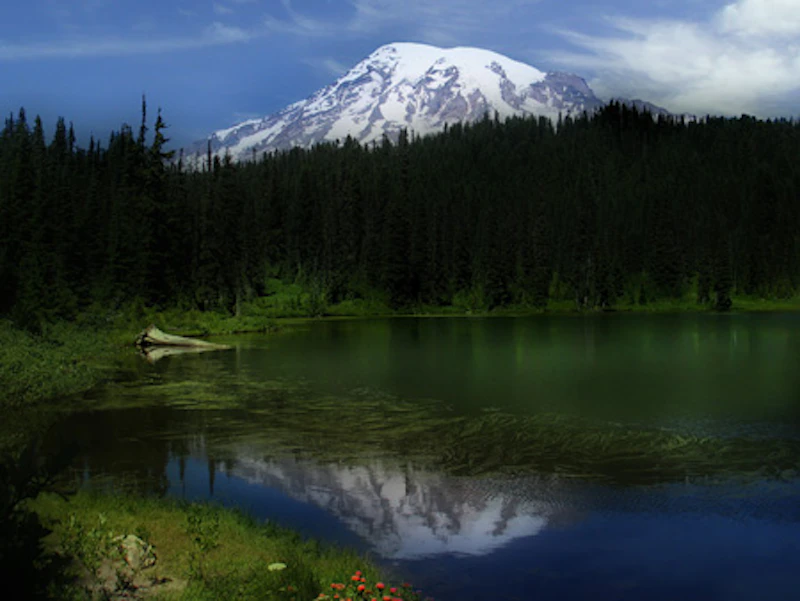 MtRainierNP Reflection0023