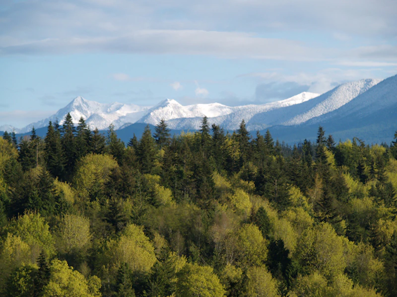 Olympic NP02