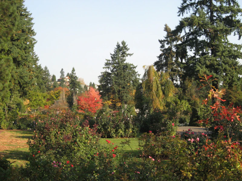 Portland Oregon 02