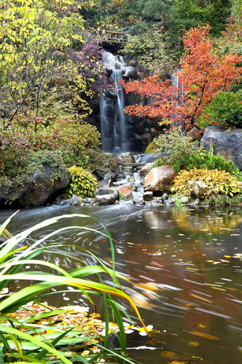 Rockford Anderson Gardens Fall 