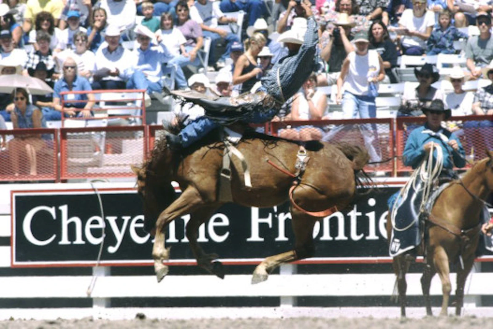 Cheyenne CFD buckingbronc1
