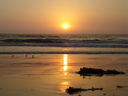 Los Angeles Beach Sunset