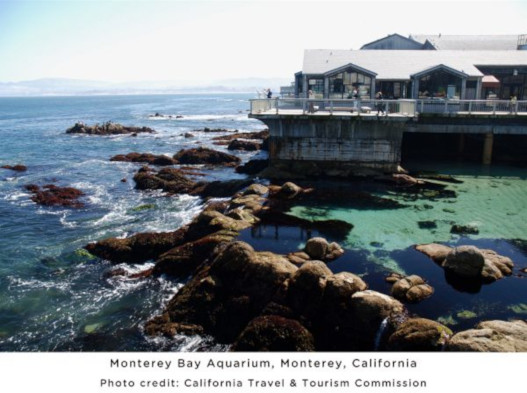 Monterey 02