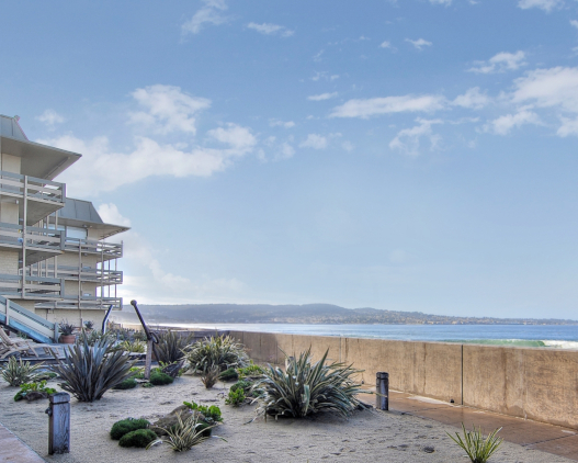 Monterey Exterior Shot Garden