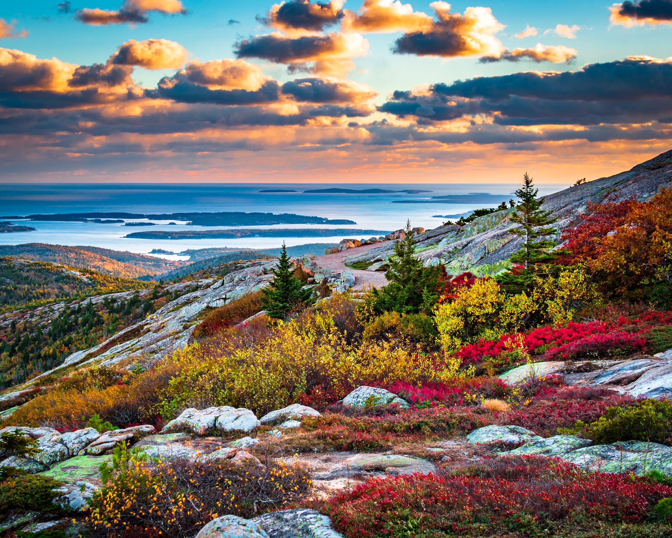 Acadia gross iStock 1322937049