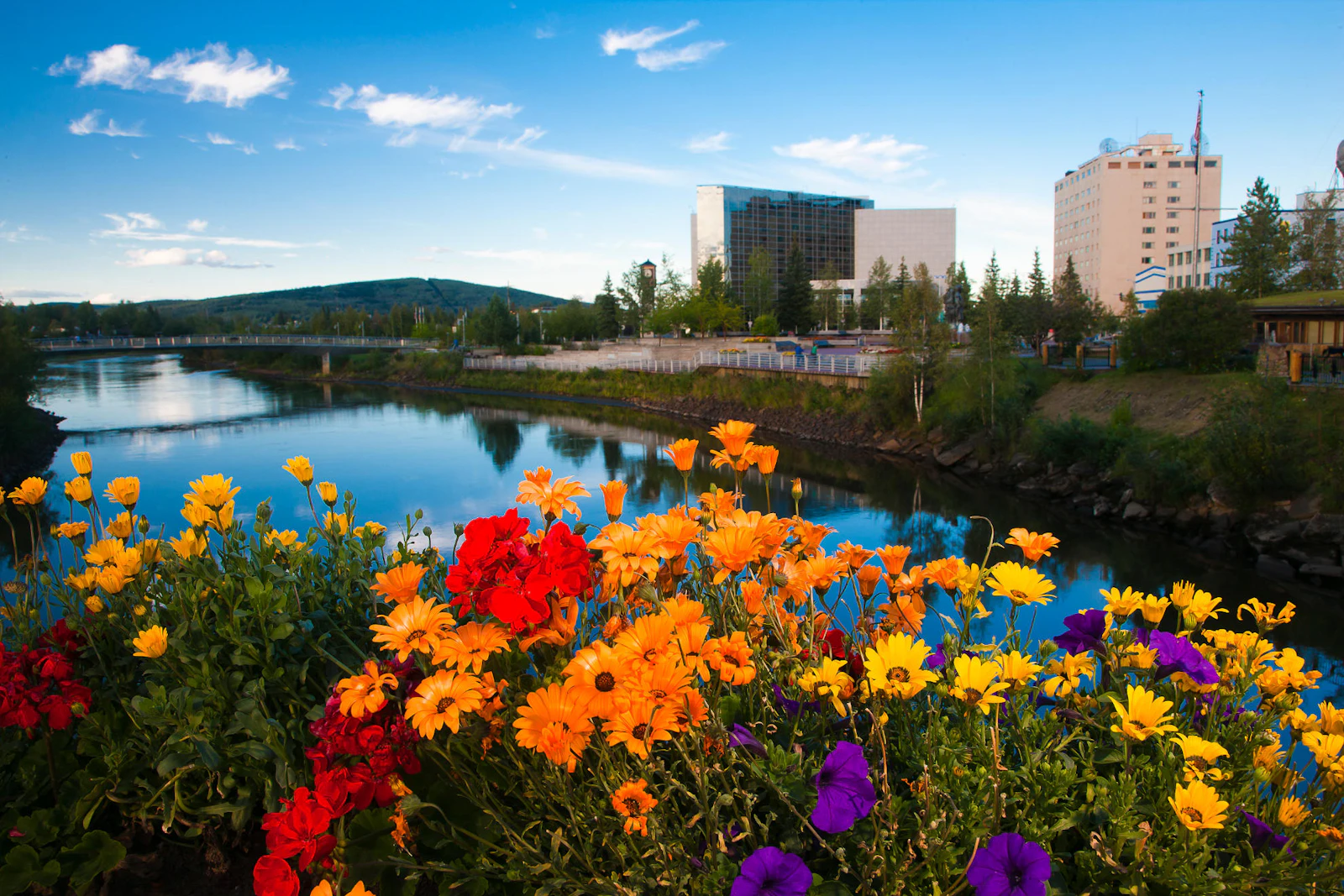 Fairbanks Chena River State of Alaska Michael DeYoung
