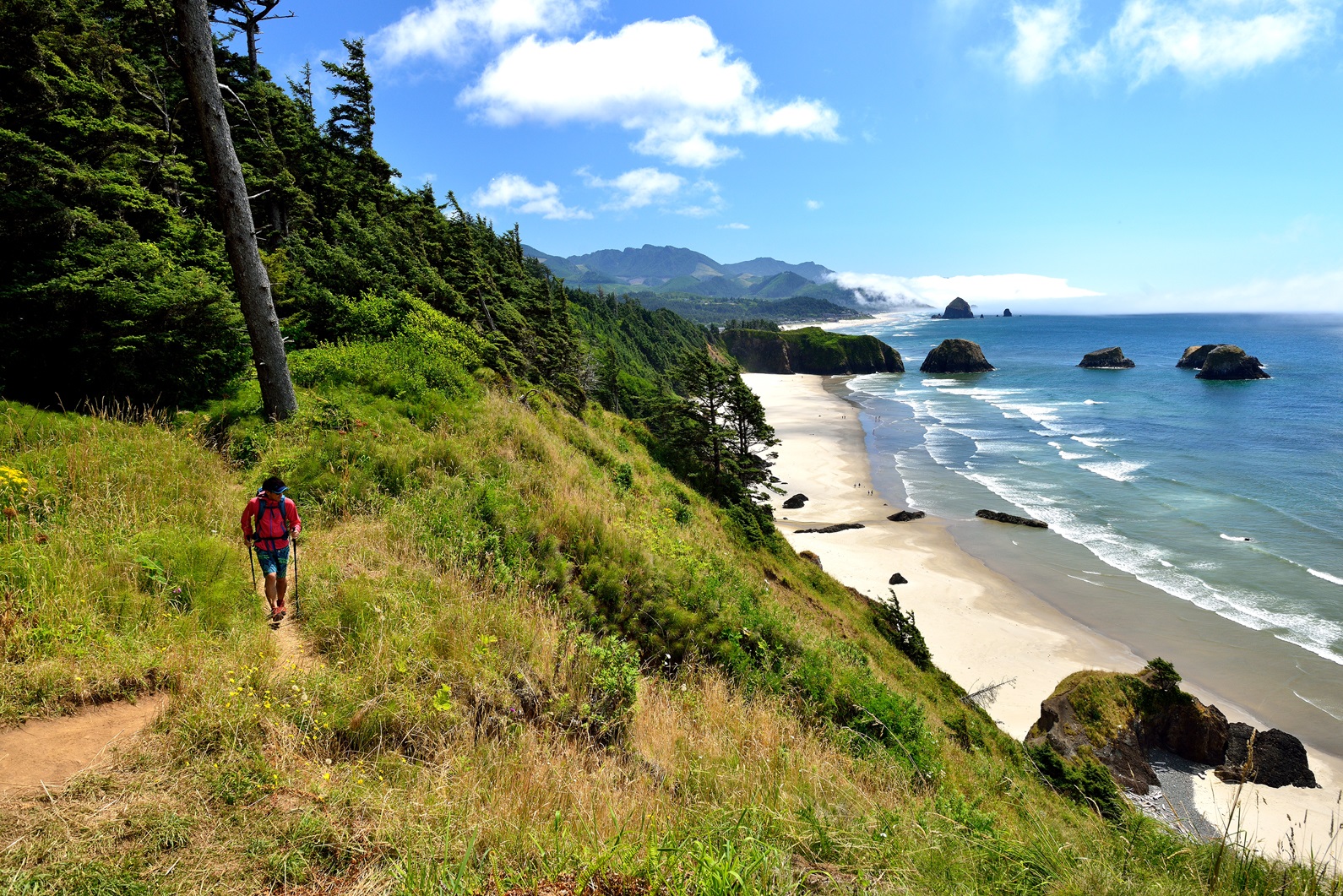 Oregon Coast
