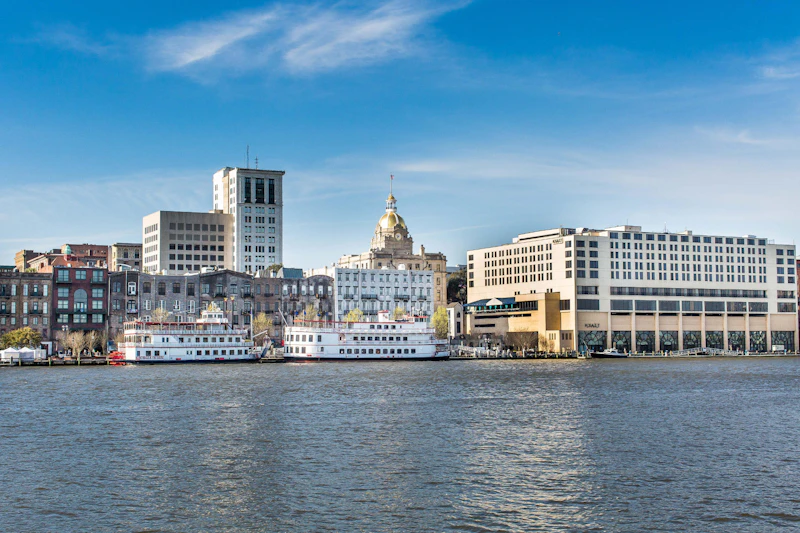 Savannah Skyline 2