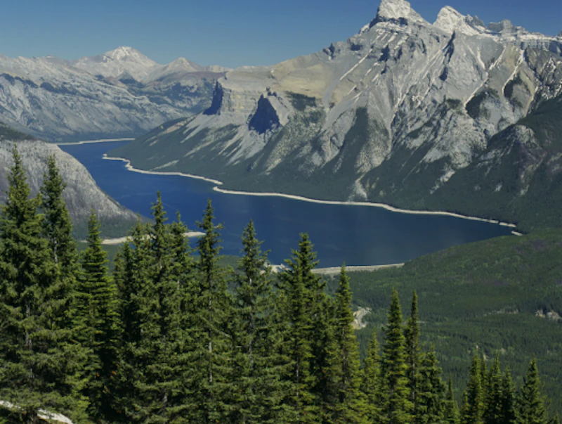 Banff N.P. 1