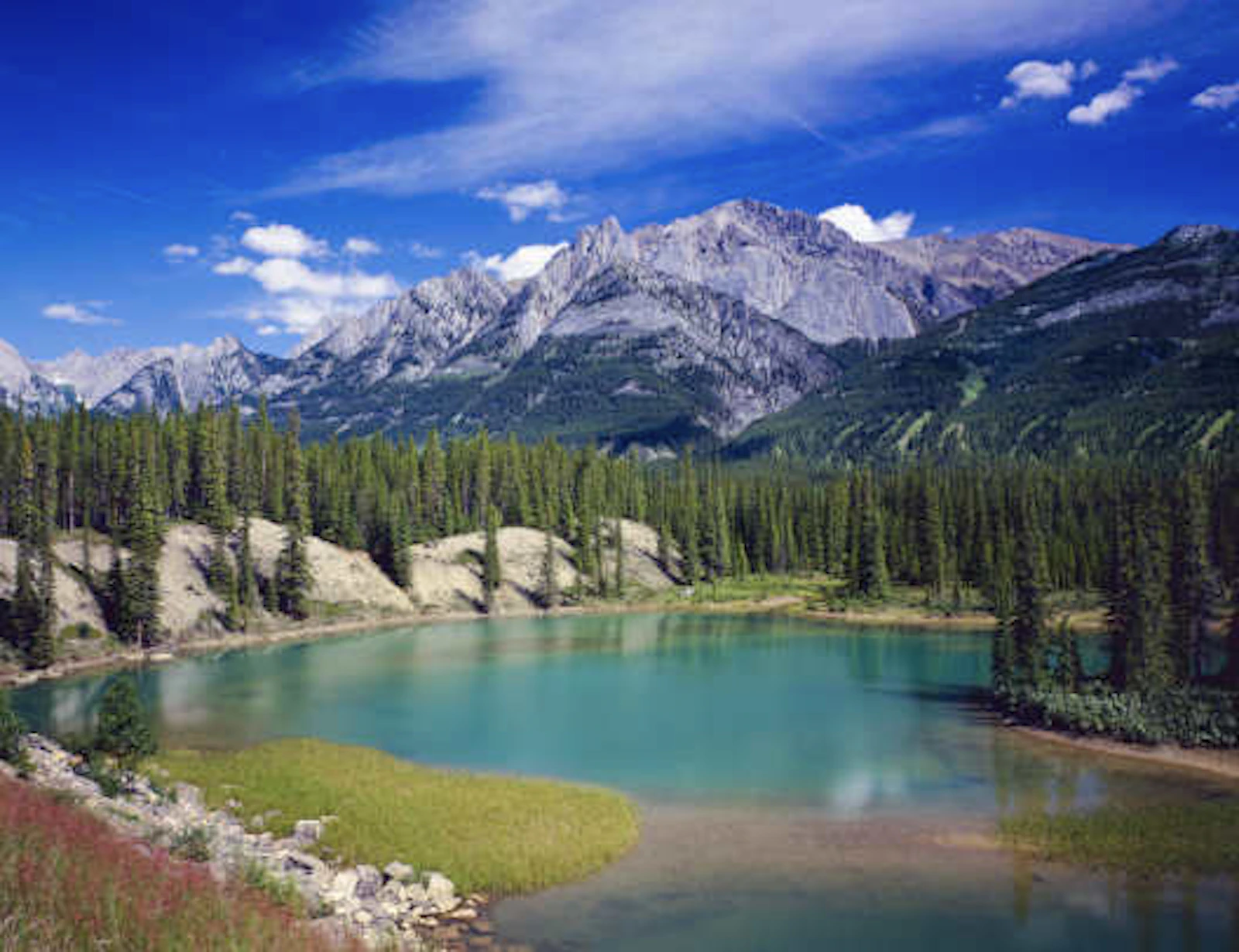 Jasper N.P. 3