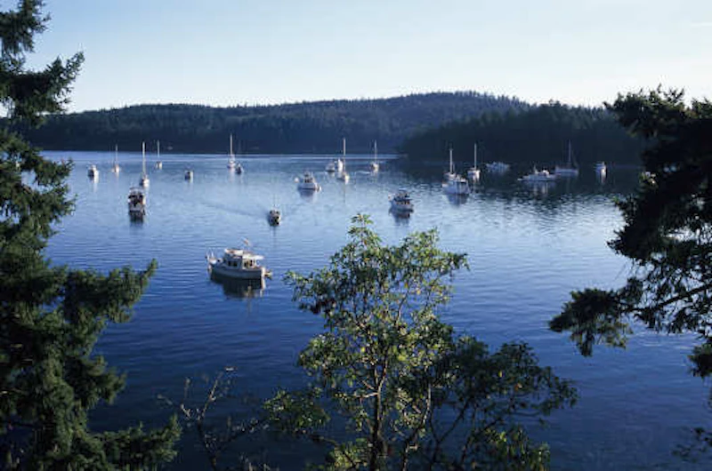 Vancouver Island 2