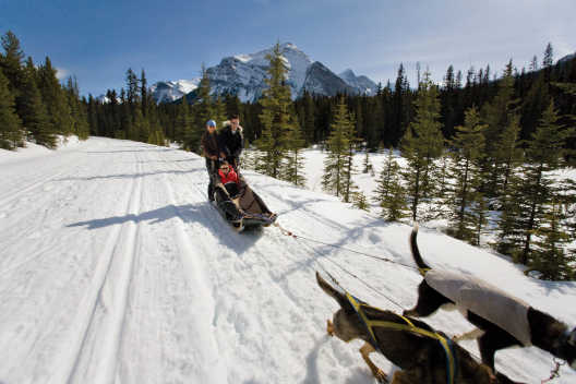 Alberta - Banff - Winter 3