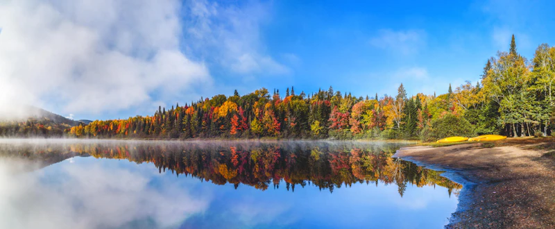 Ostkanada - Indian Summer Wald