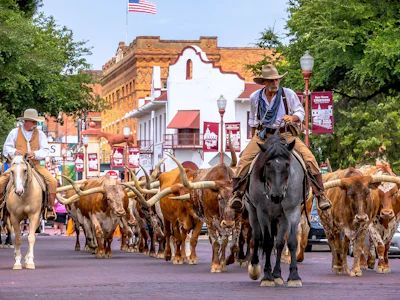 Tourweb-Fernweh-Angebote/USA/Texas/FortWorth2