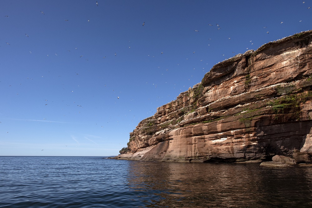 Tourweb-Fernweh-Angebote/Kanada/Bone2