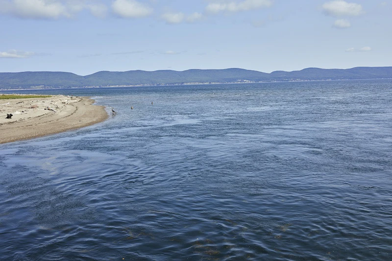 Tourweb-Fernweh-Angebote/Kanada/forillon5
