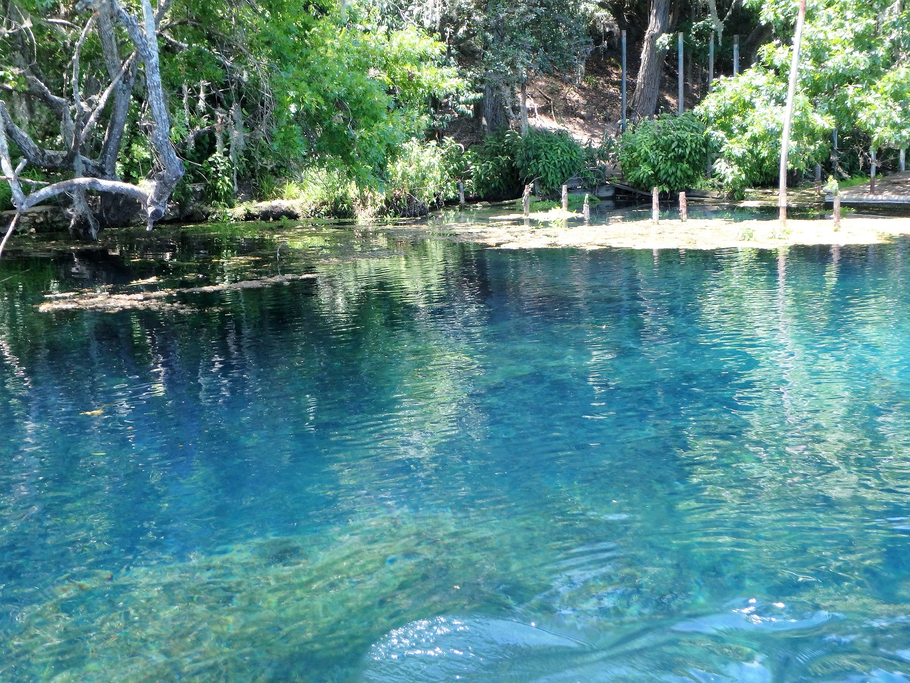 Tourweb-Fernweh-Angebote/USA/Texas/San Marcos