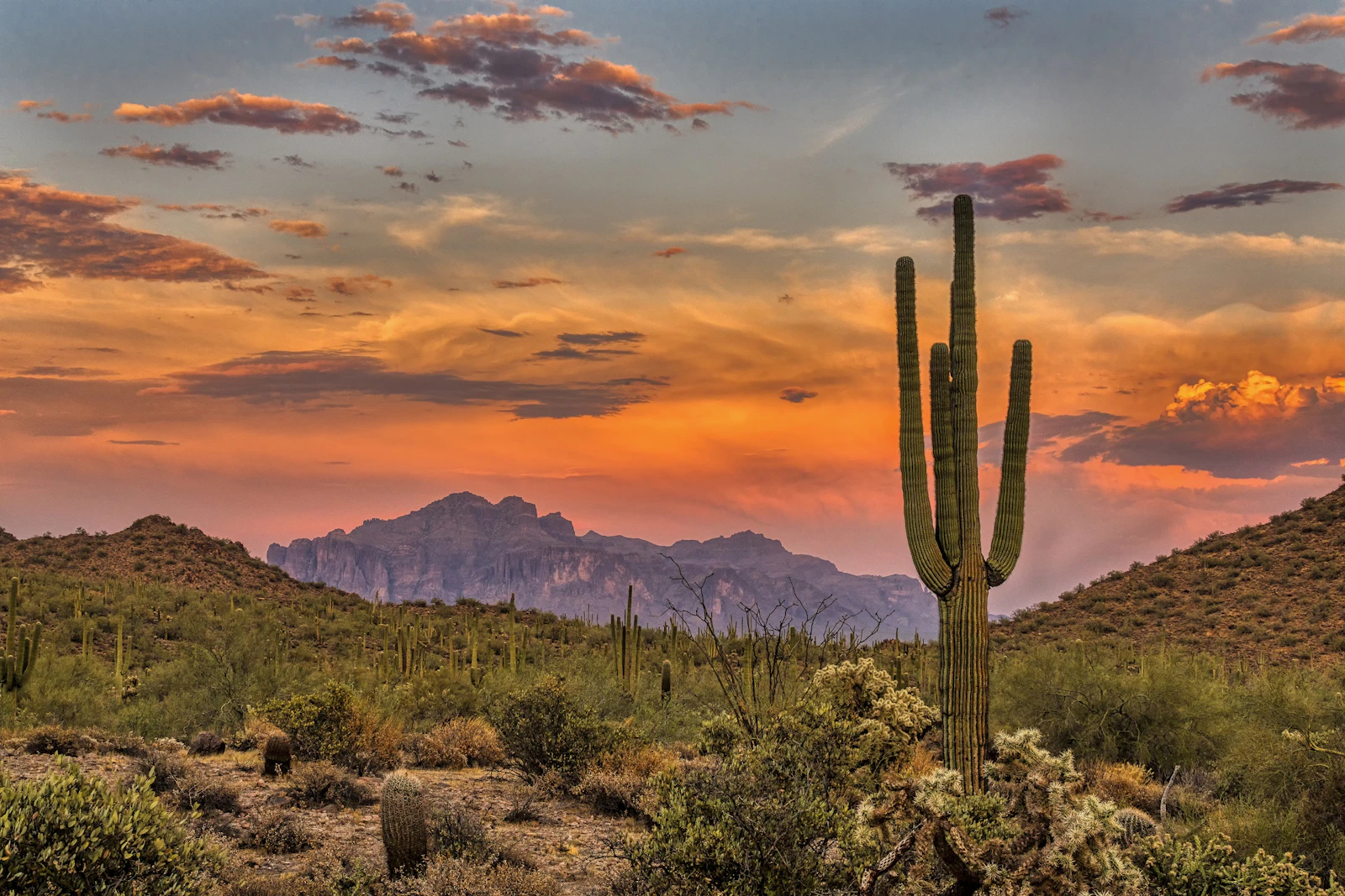 Arizona - Wüstenlandschaft
