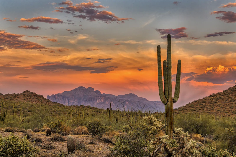Arizona - Wüstenlandschaft istock