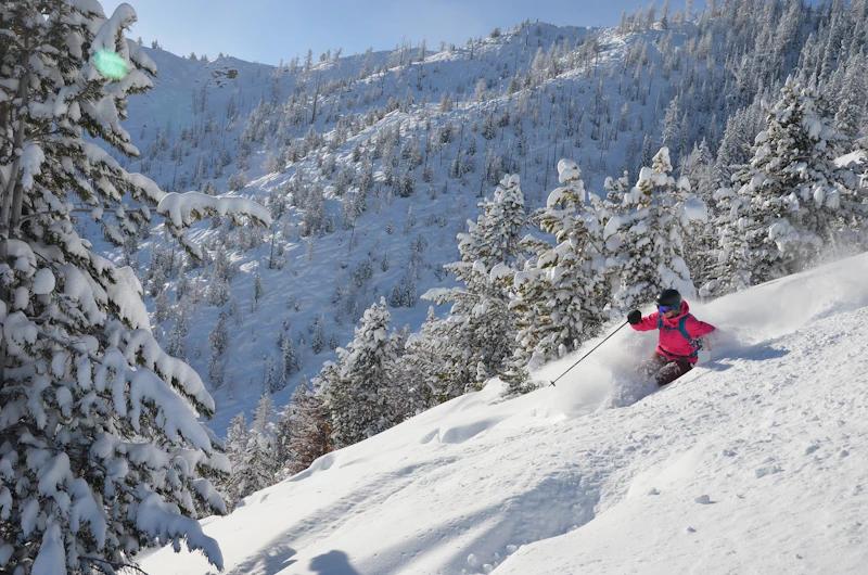 Panorama - Powder 1
