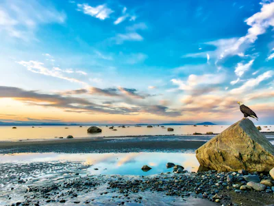 Alaska - Allgemein Adler Wasser