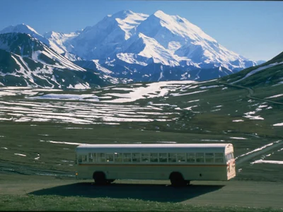 Alaska - Denali Bustour