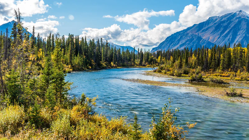 Yukon - Kluane N.P.