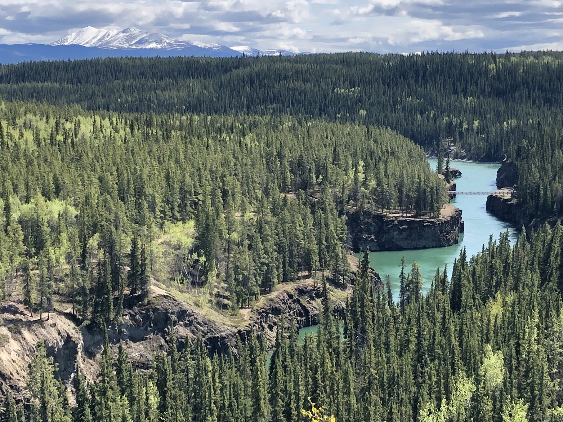 Yukon - Whitehorse Fluss