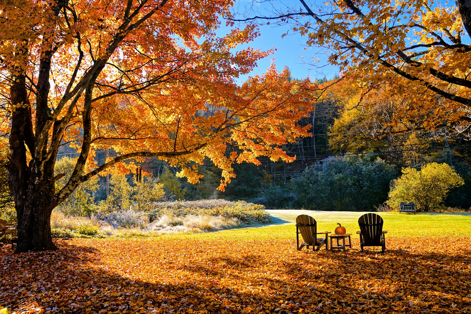 Ostkanada - Indian Summer  Schaukelstuhl