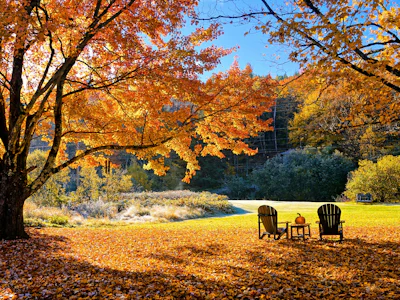 Ostkanada - Indian Summer Schaukelstuhl