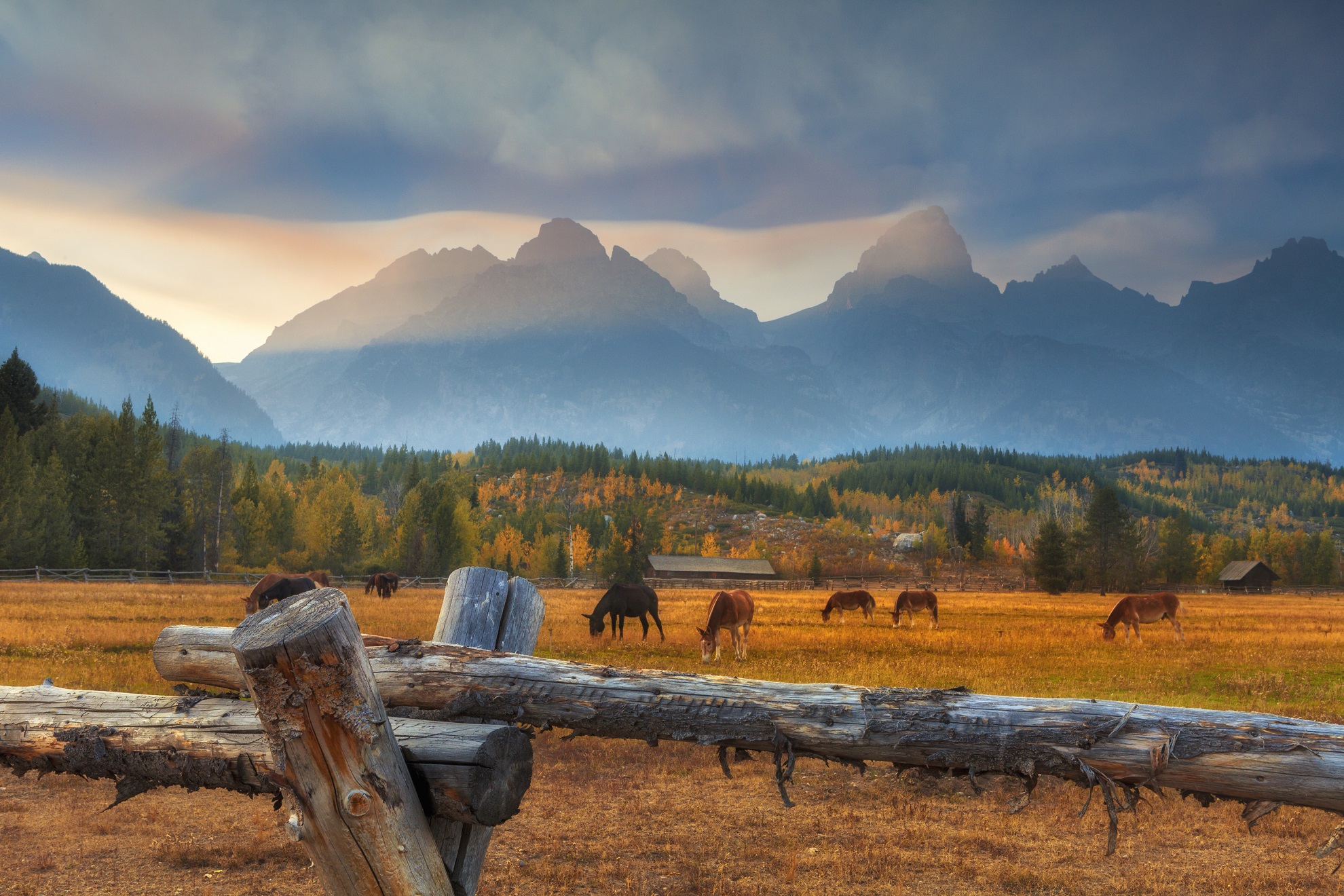 Wyoming - Grand Teton