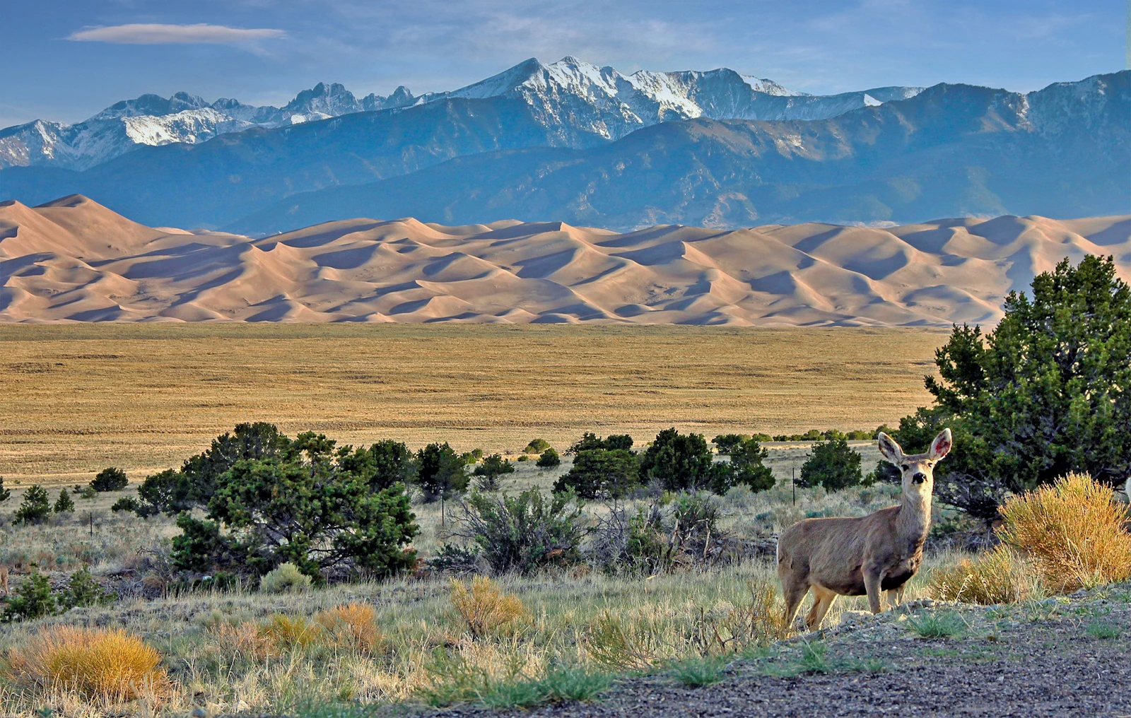 Colorado - Alamosa