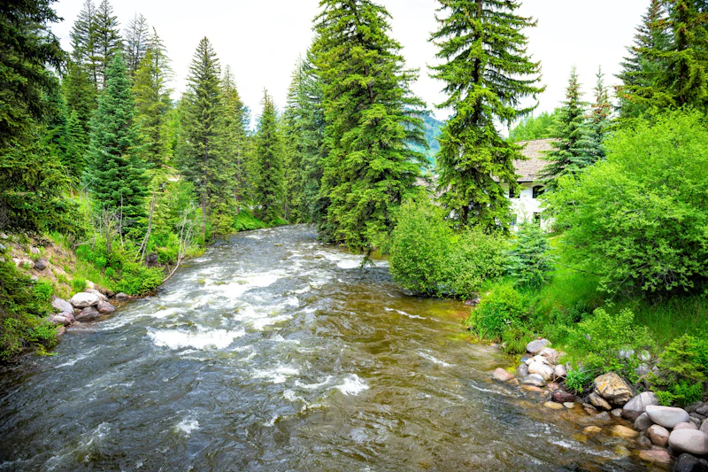 Colorado - Vail Sommer
