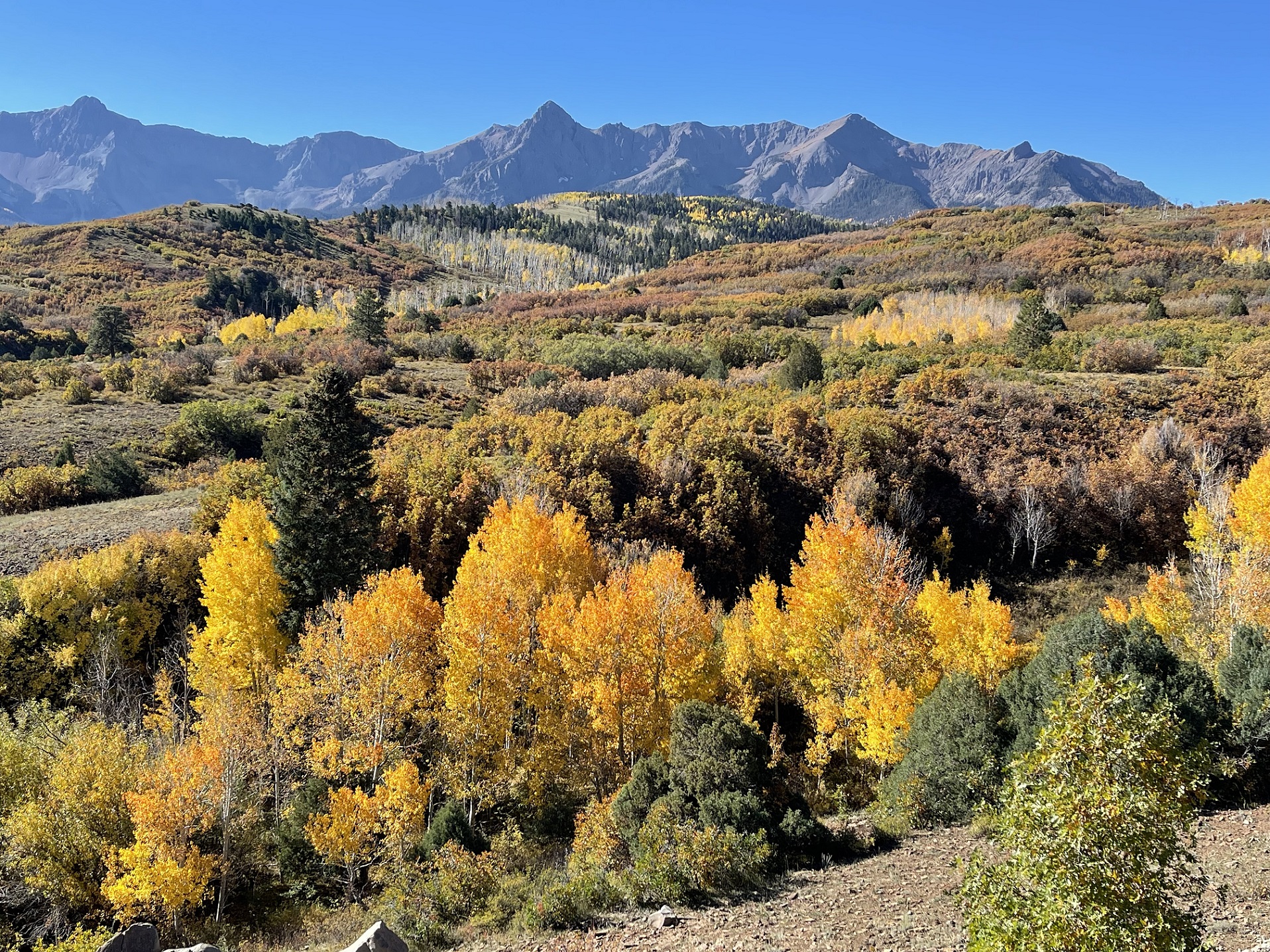 Colorado - Fahrt Berge + Wald