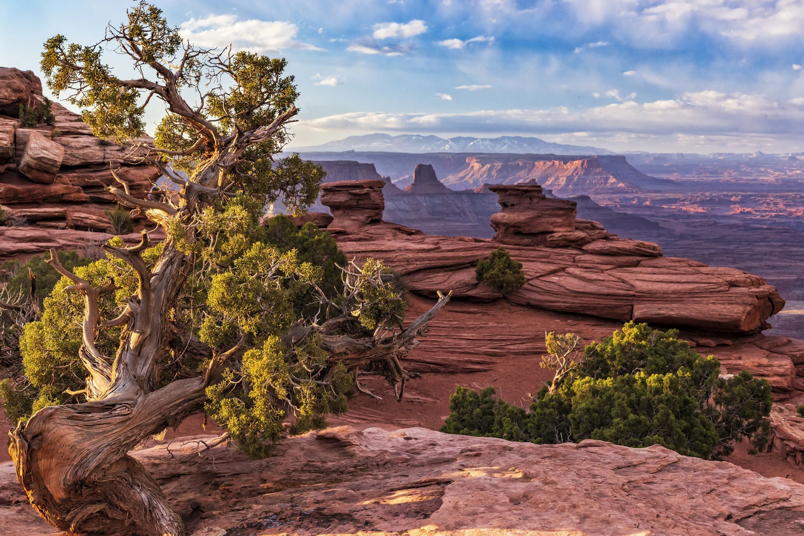Utah - Moab
