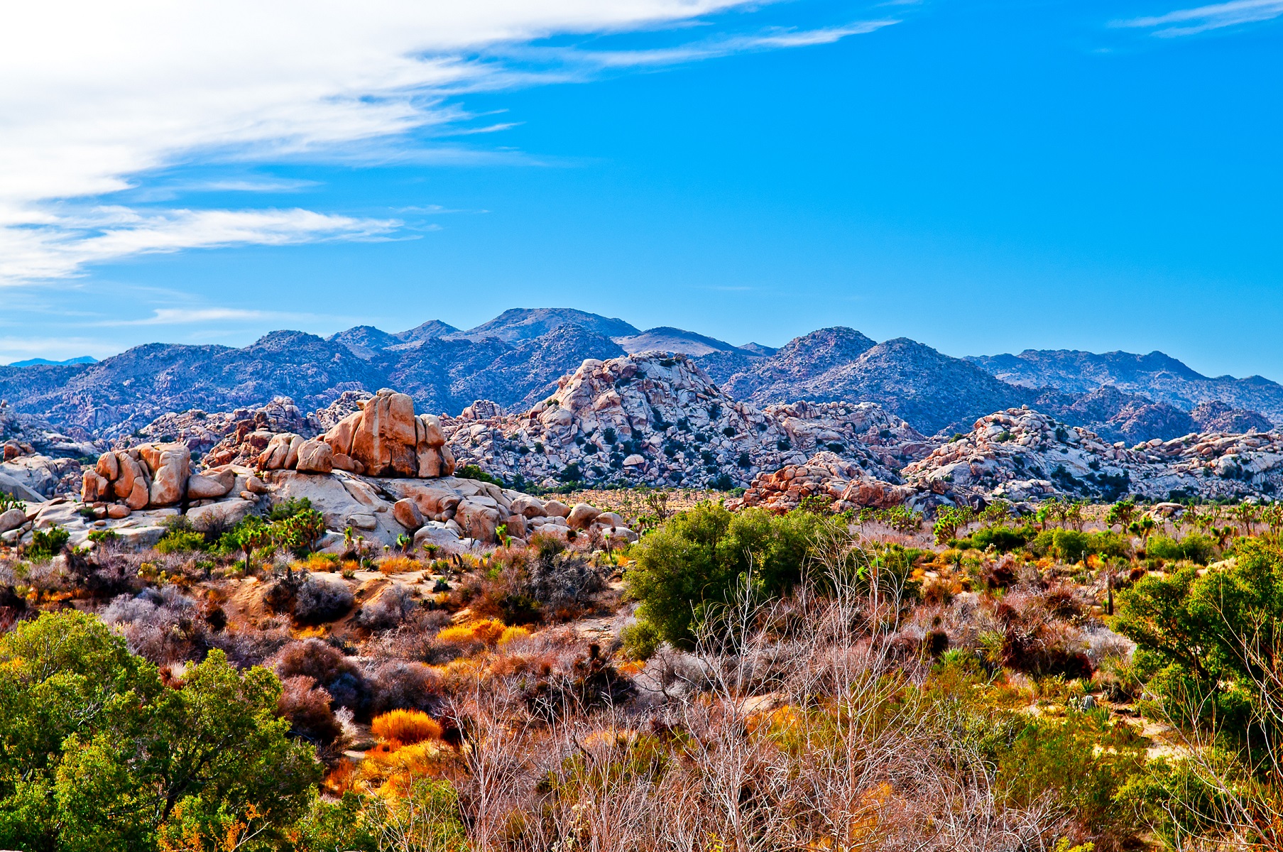 Kalifornien - Fahrt Wüste