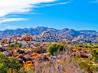 Kalifornien - Fahrt Wüste
